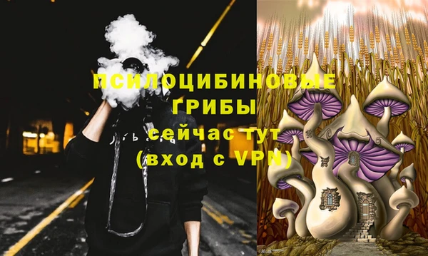 ГАЛЛЮЦИНОГЕННЫЕ ГРИБЫ Магас