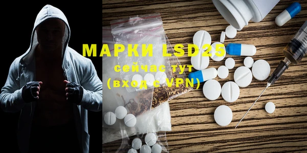 ГАЛЛЮЦИНОГЕННЫЕ ГРИБЫ Магас
