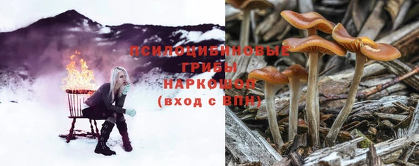 ГАЛЛЮЦИНОГЕННЫЕ ГРИБЫ Магас