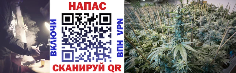Шишки марихуана ГИДРОПОН Яранск